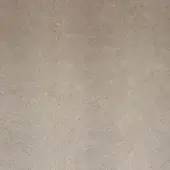 24203072 - CAMOSCIO